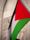palestine flag