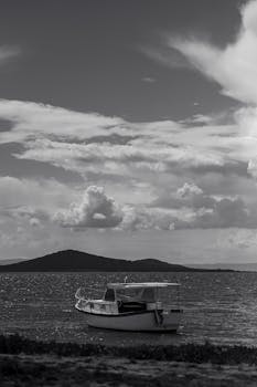 美丽的一天，免费库存照片，黑白摄影