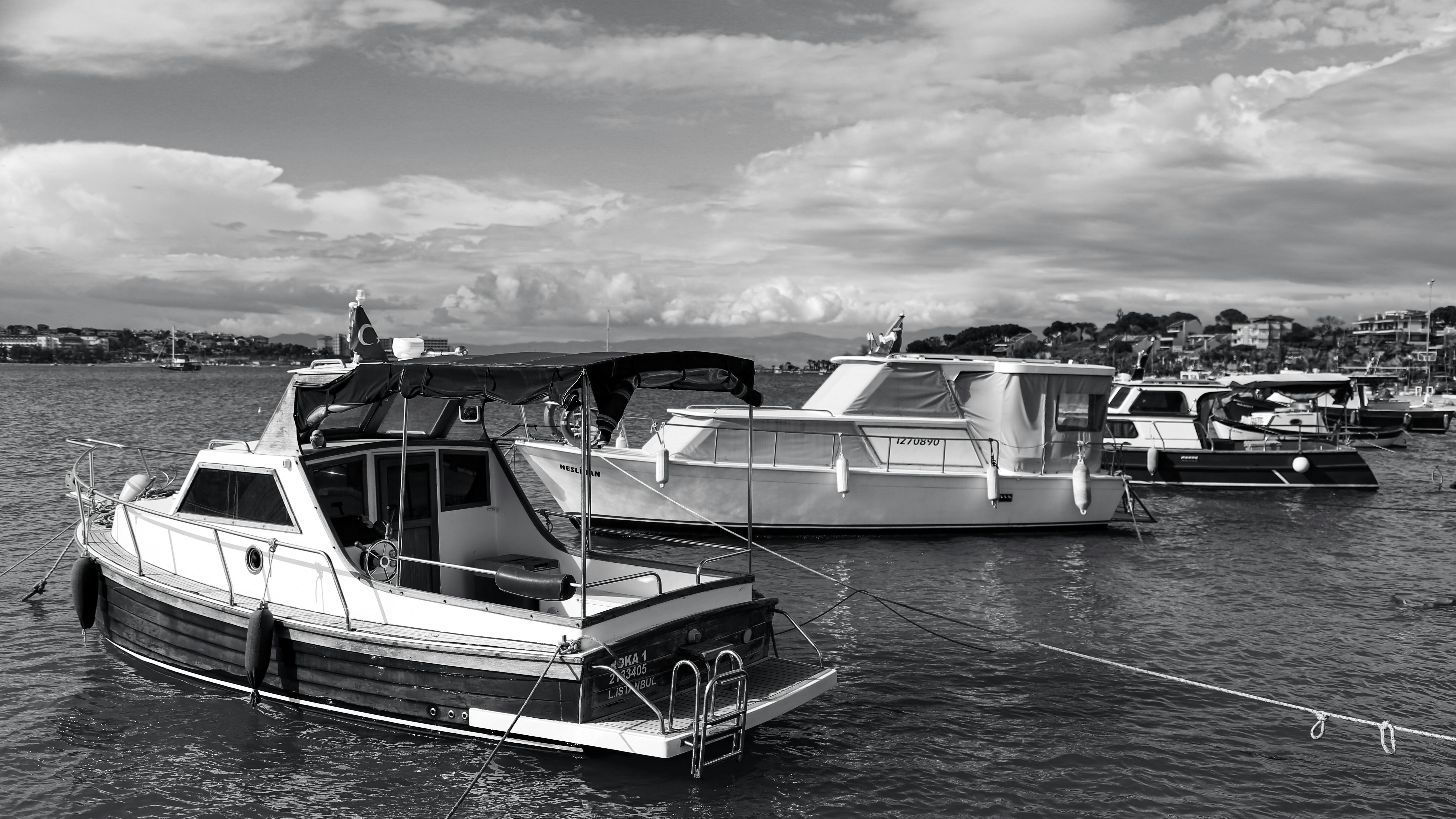 美丽的一天的免费库存照片，黑白，黑白摄影