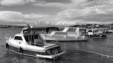 美丽的一天的免费库存照片，黑白，黑白摄影