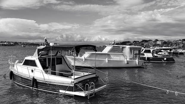 美丽的一天的免费库存照片，黑白，黑白摄影