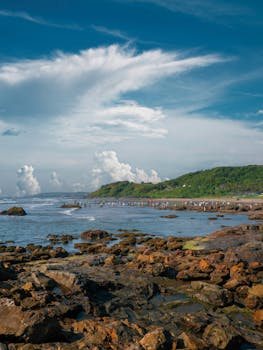 比基尼免费库存照片，庆祝，欢快