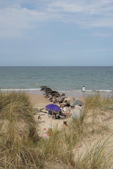 好的，我会根据您的要求进行句子的优化