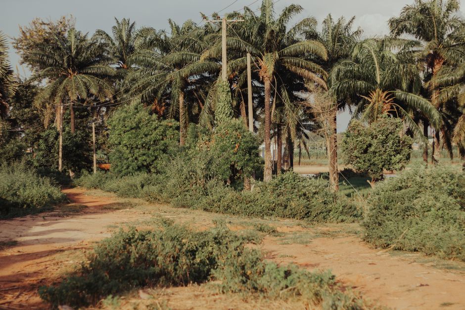 Libre circulation CEDEAO Togo — Résider au Togo sans visa 2026