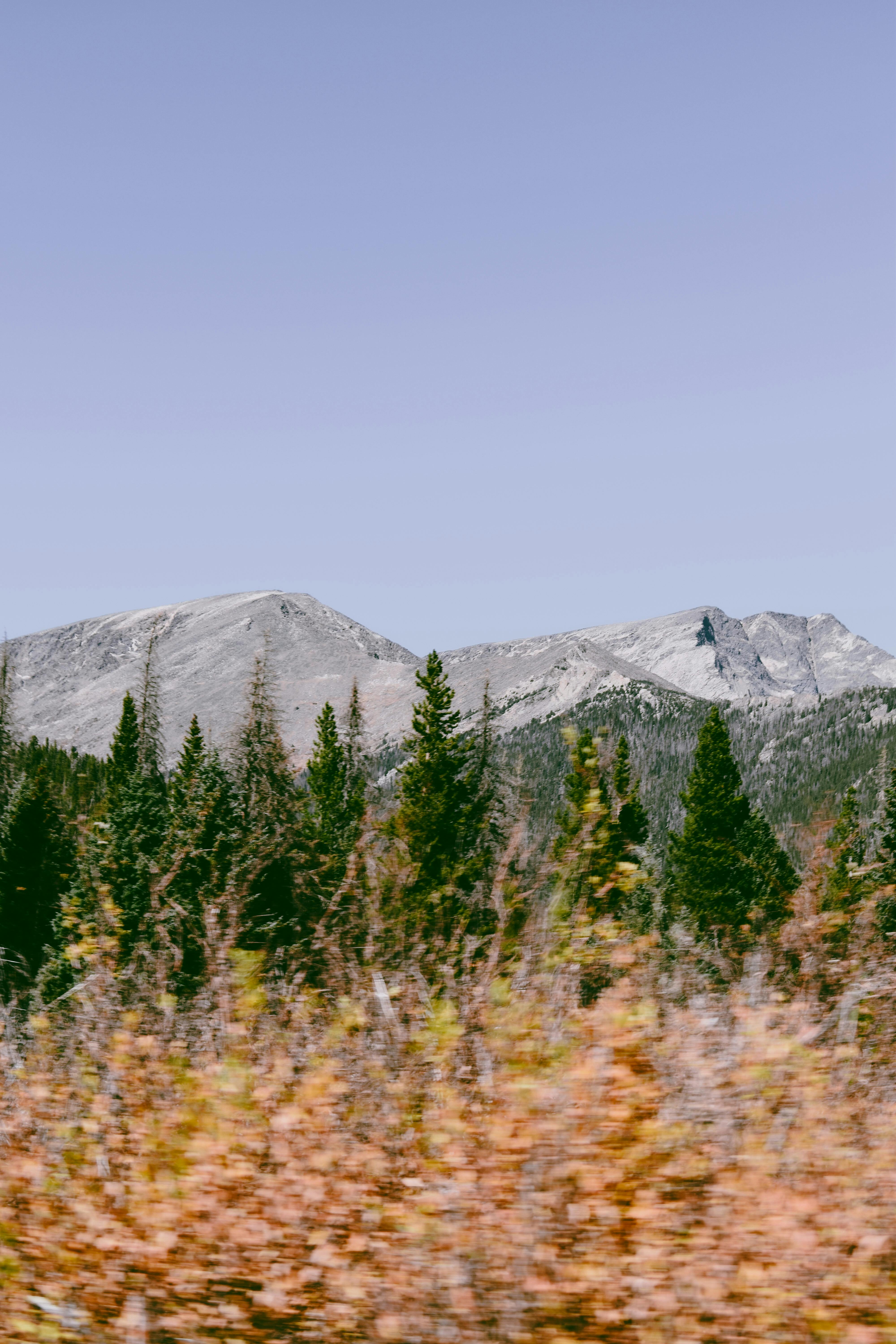 好的，我会按照您的要求进行句子的优化
