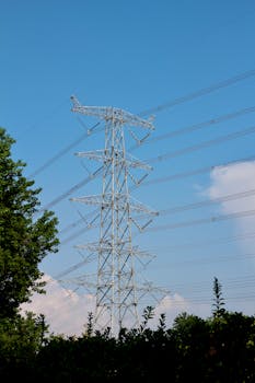 好的，请提供您需要优化的文本