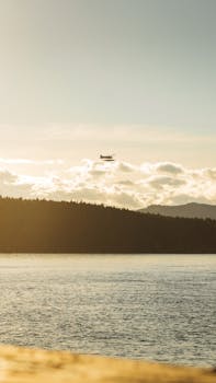 好的，我会按照您的要求进行文本的优化