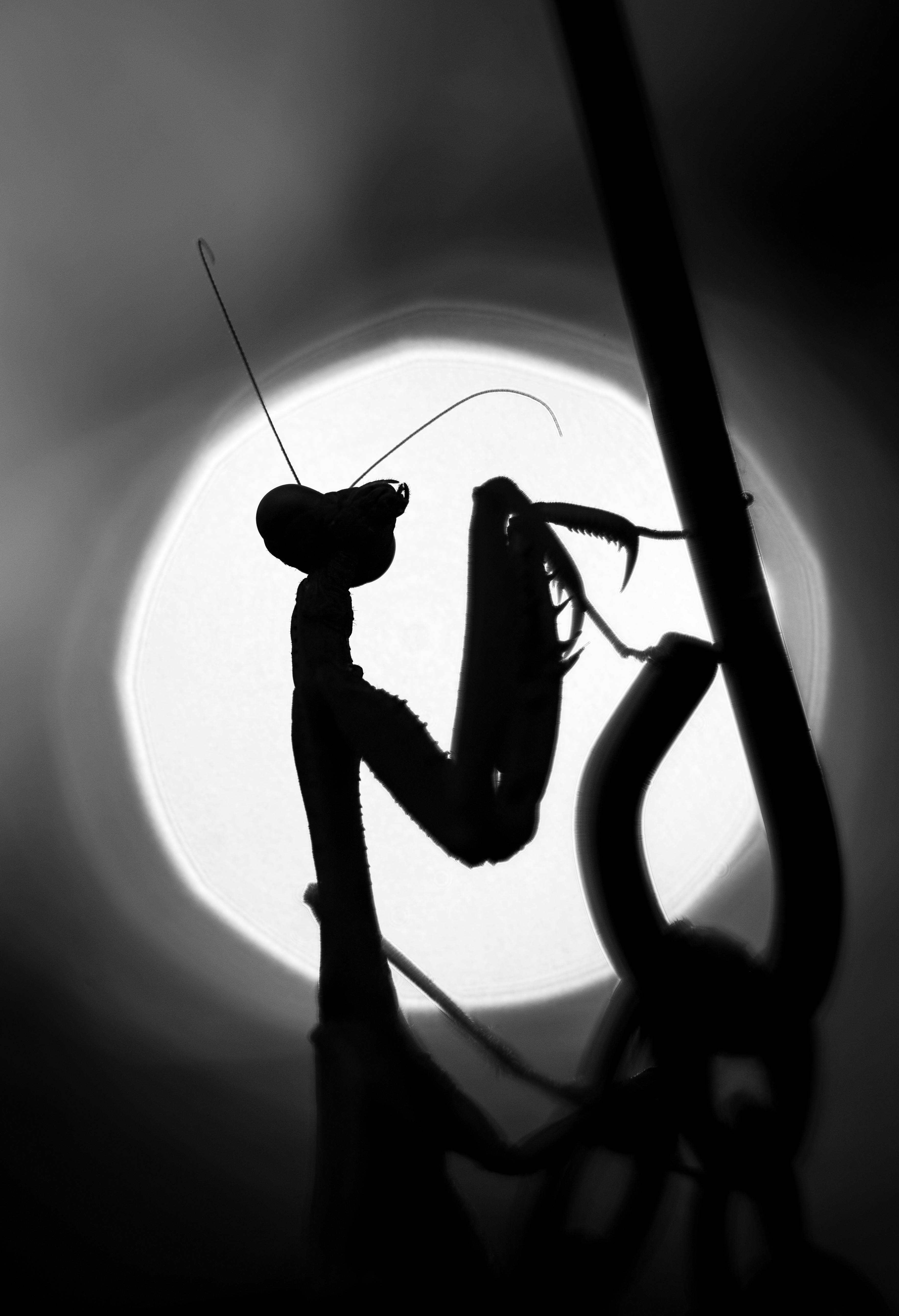 Gratis Fotos de stock gratuitas de @al aire libre, abstracto, antena Foto de stock