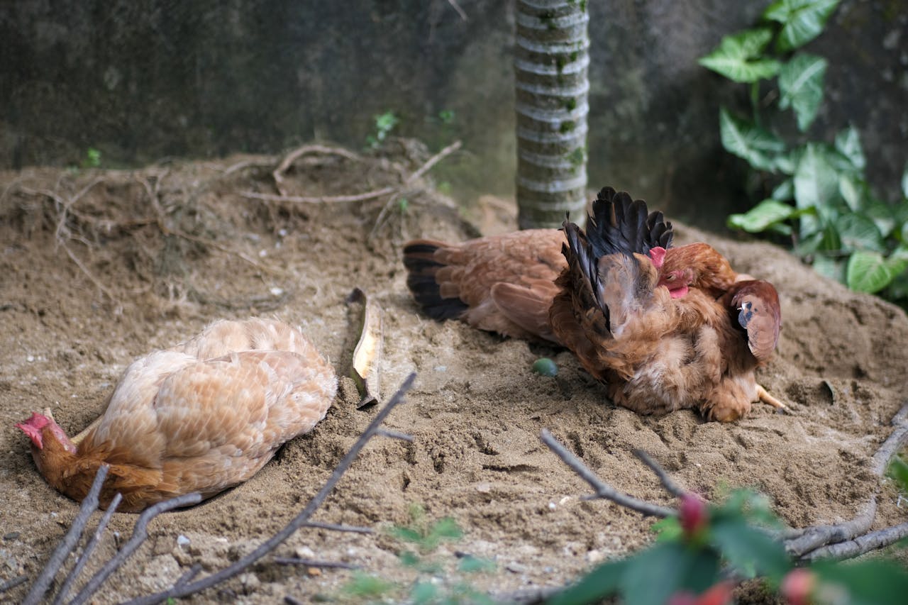 Bài kiểm tra Ác quỷ sự thật (Truth demon) về niềm tin