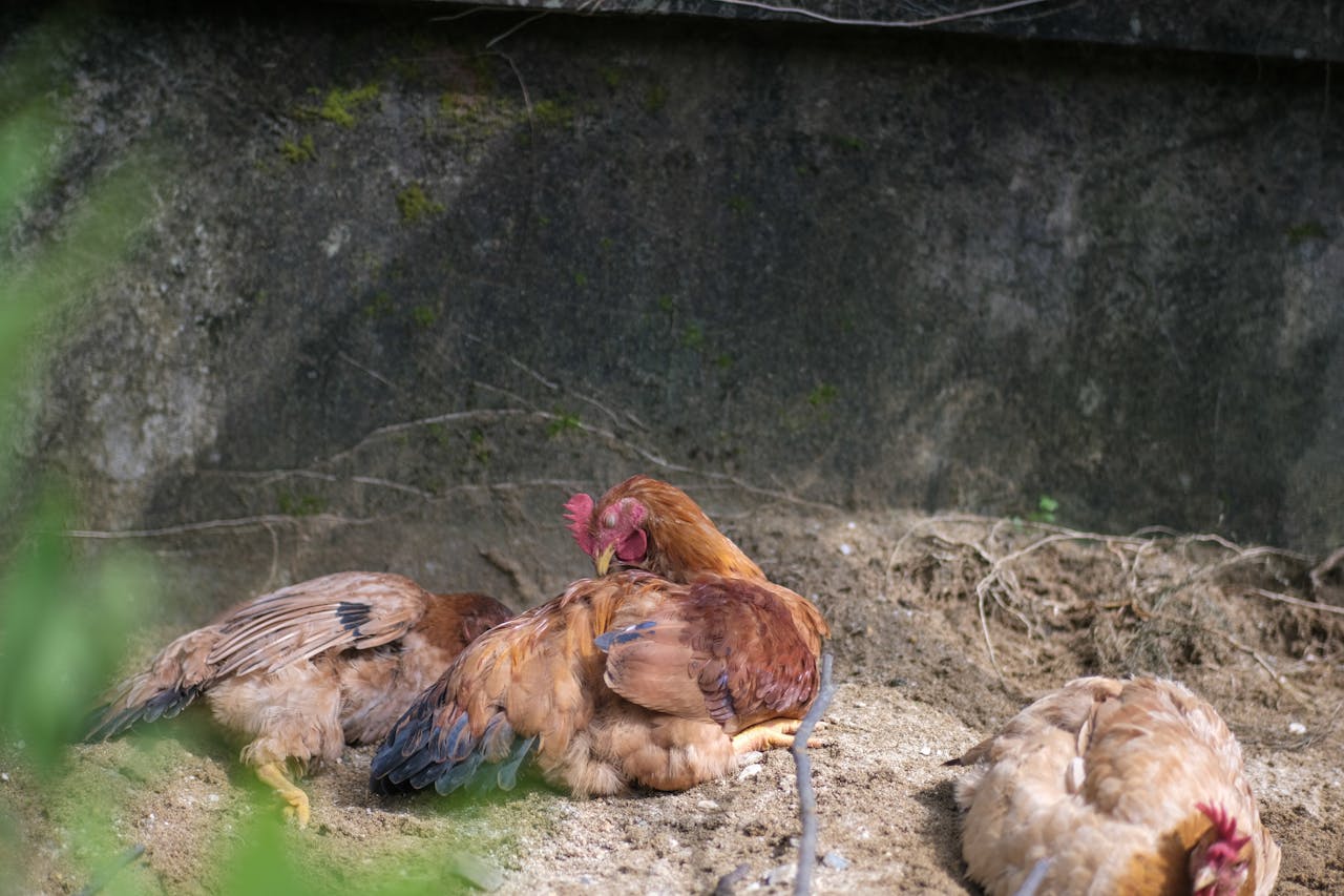 Quyền lực đích thực | Chương 21