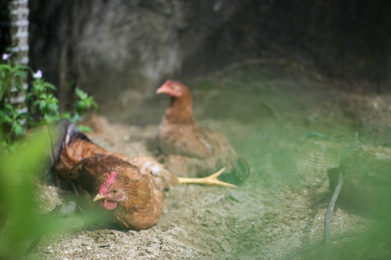 Gieo trồng hạnh phúc | Chương 30