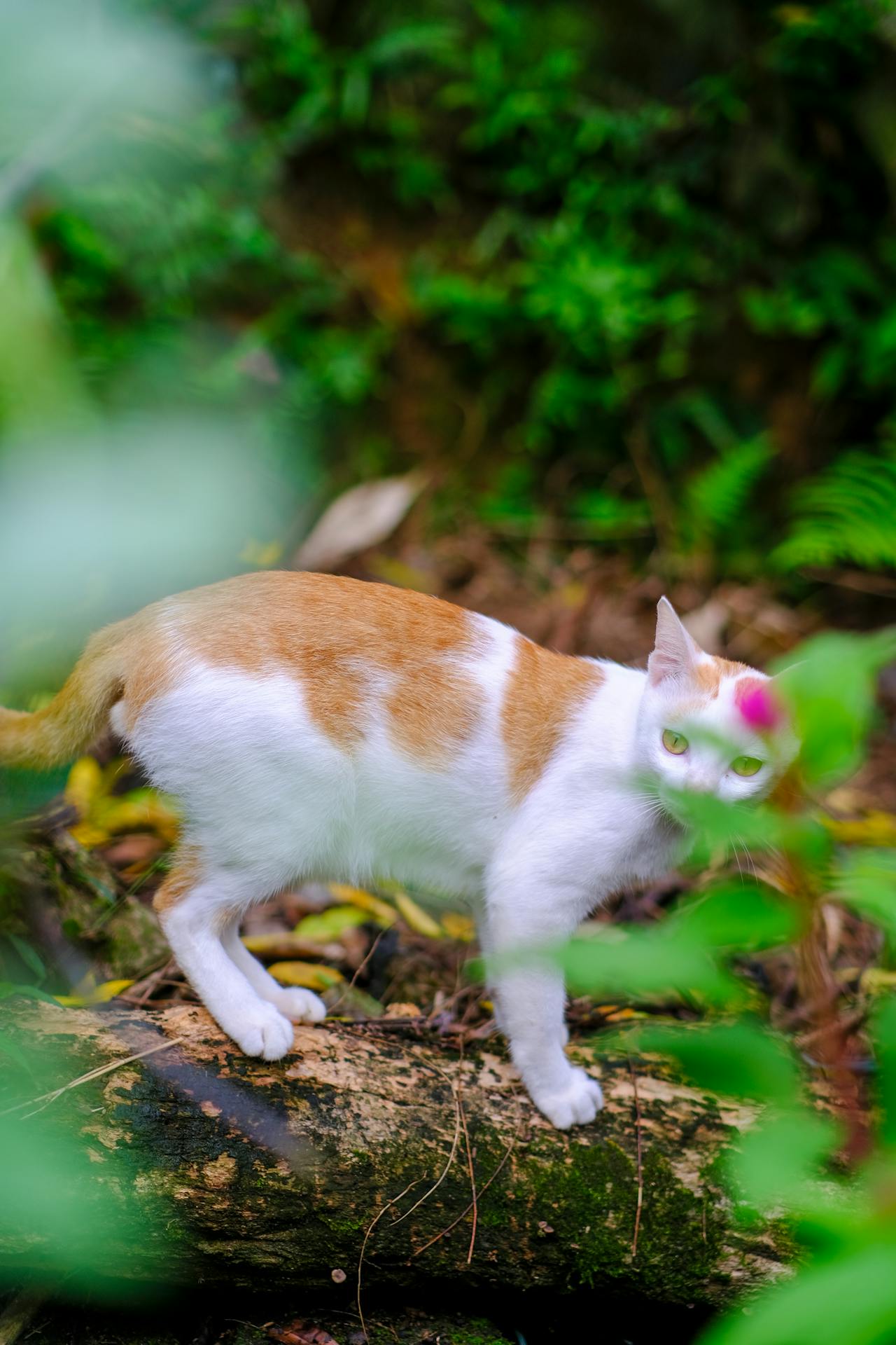 Hannah Arendt từ bỏ triết học đối đầu thế giới