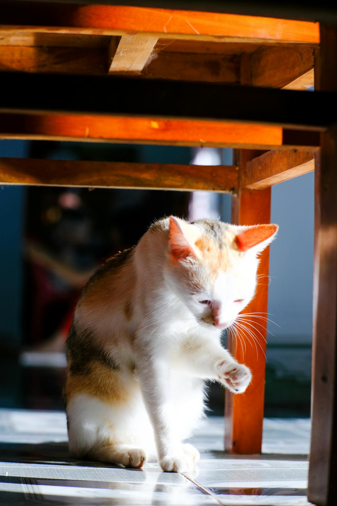 Mọi vật có chịu ảnh hưởng bức xạ Hawking