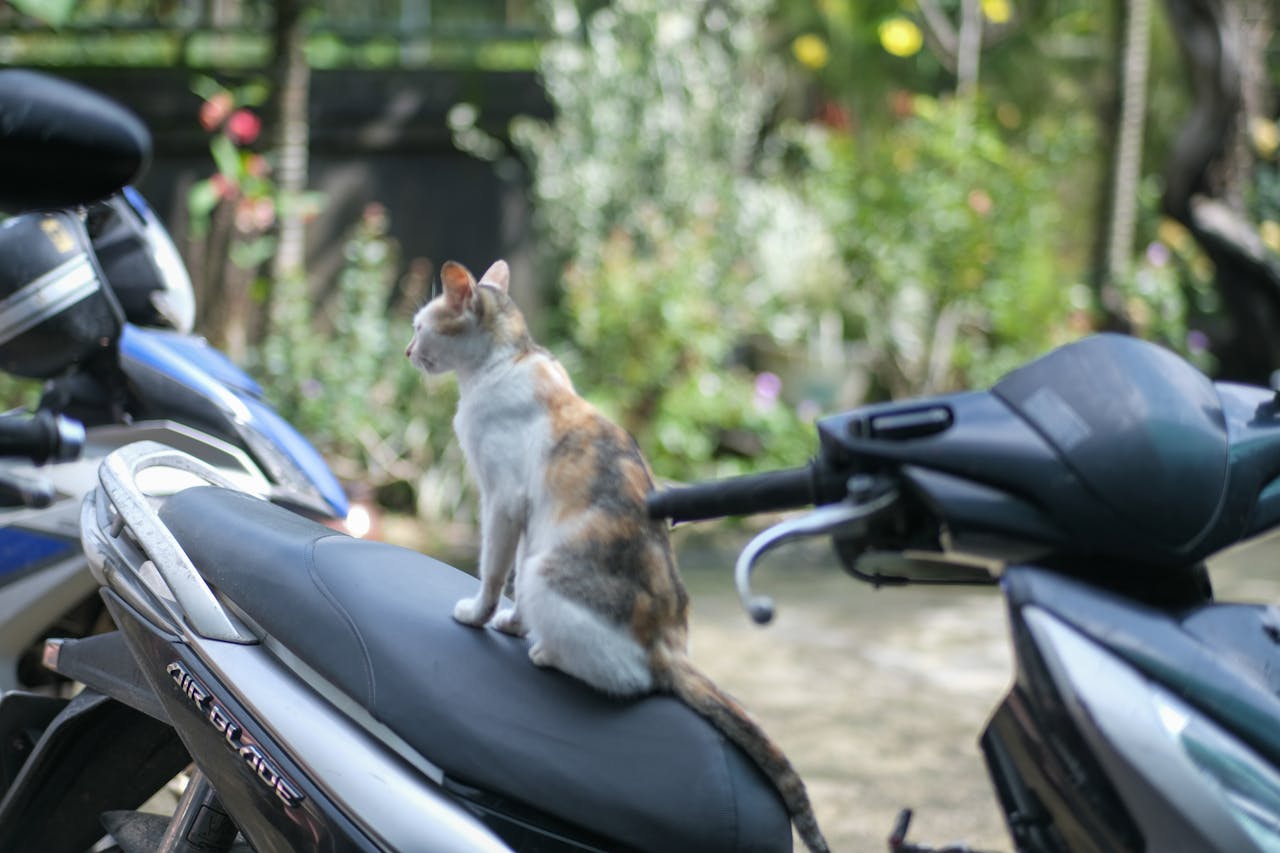 Trí tuệ nhân tạo cách mạng hóa khách sạn