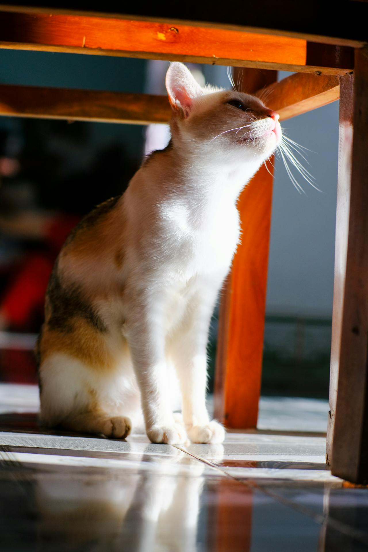 Thám tử lừng danh Conan | Chương 1040