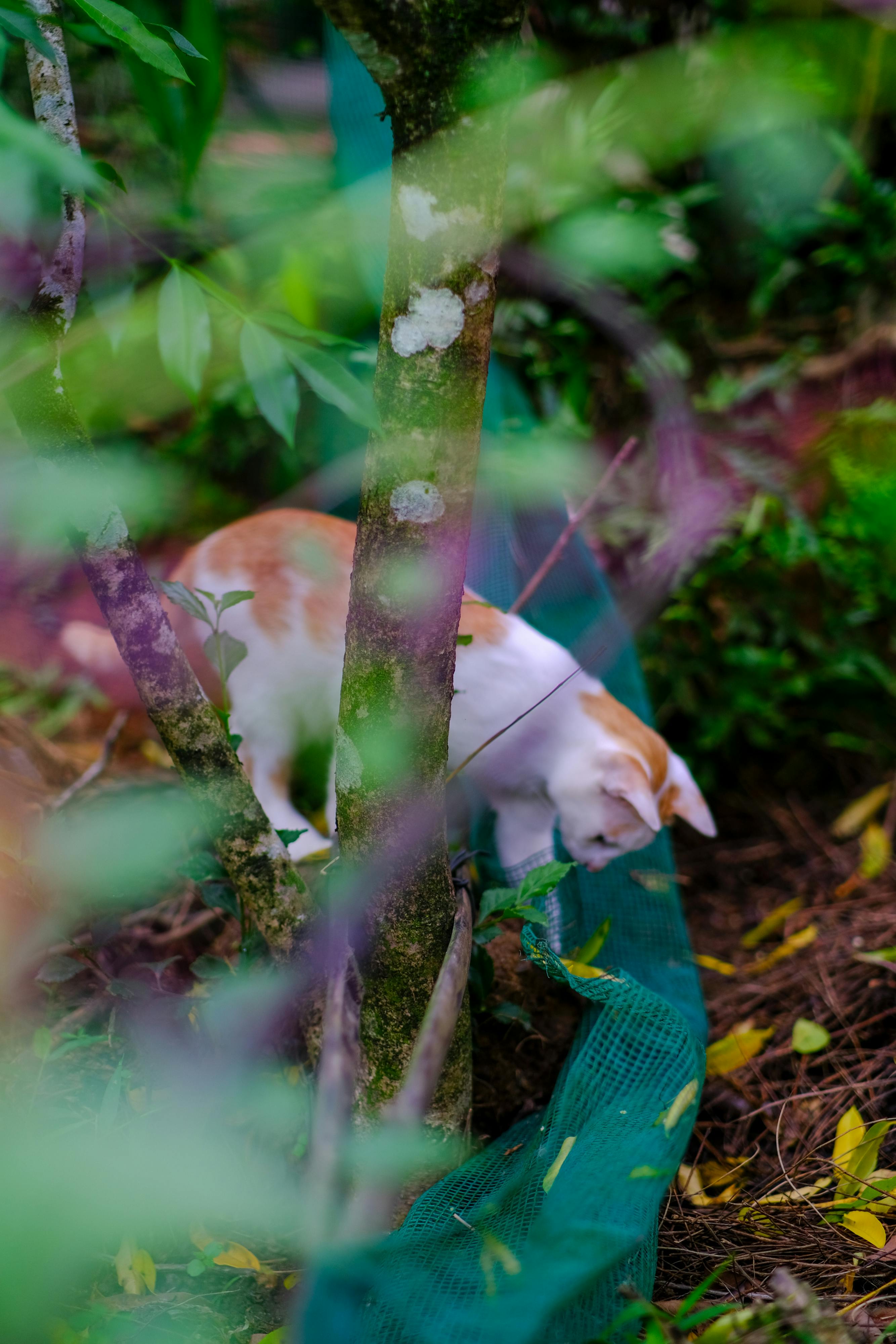 Có tồn tại cảm xúc tiêu cực không? 086 – khoa hoc, tam ly hoc, cam xuc, tieu cuc, cam xuc tieu cuc, chu nghia khac ky.