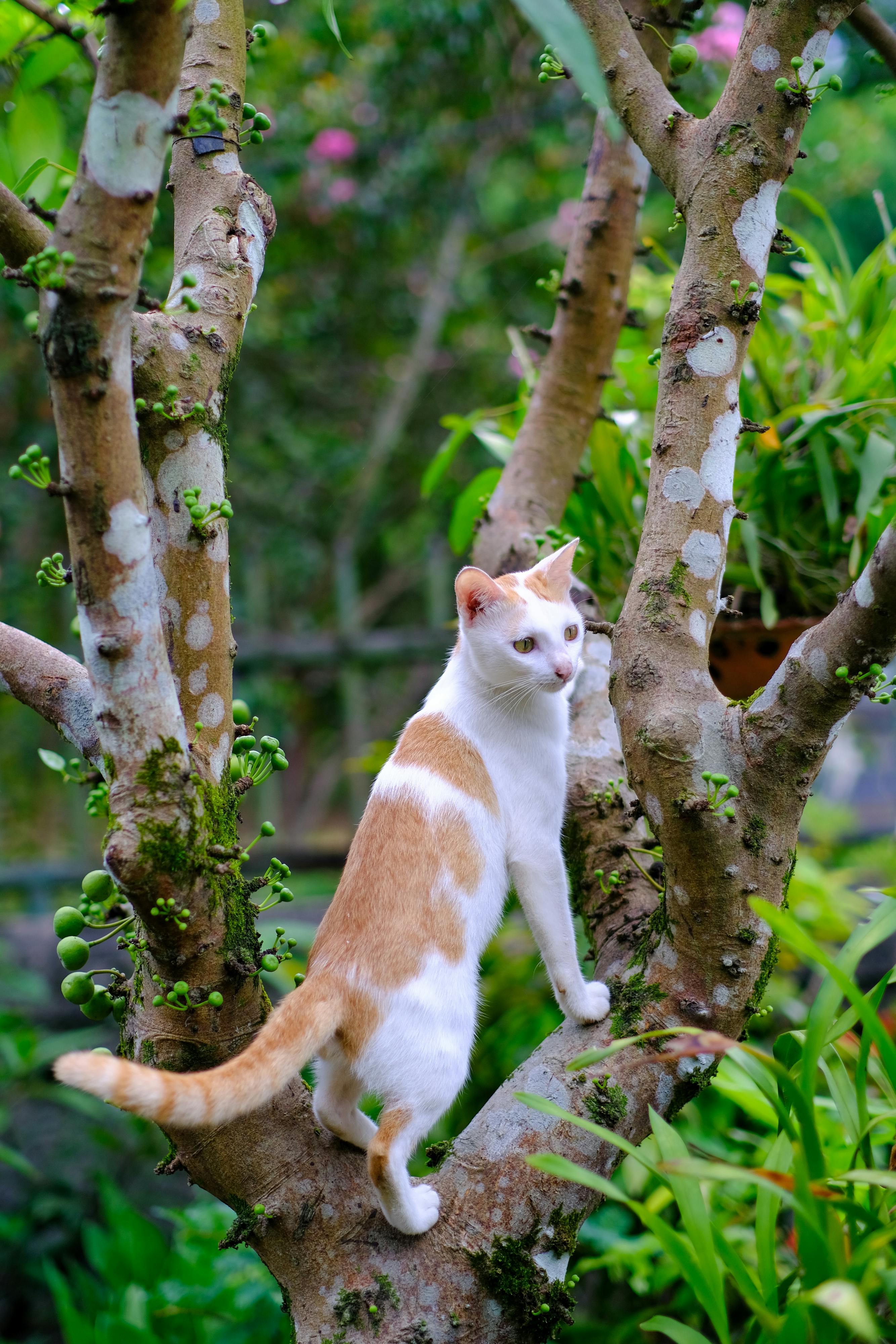 Danh sách theo thẻ y-thien-do-long-ky, trang 2