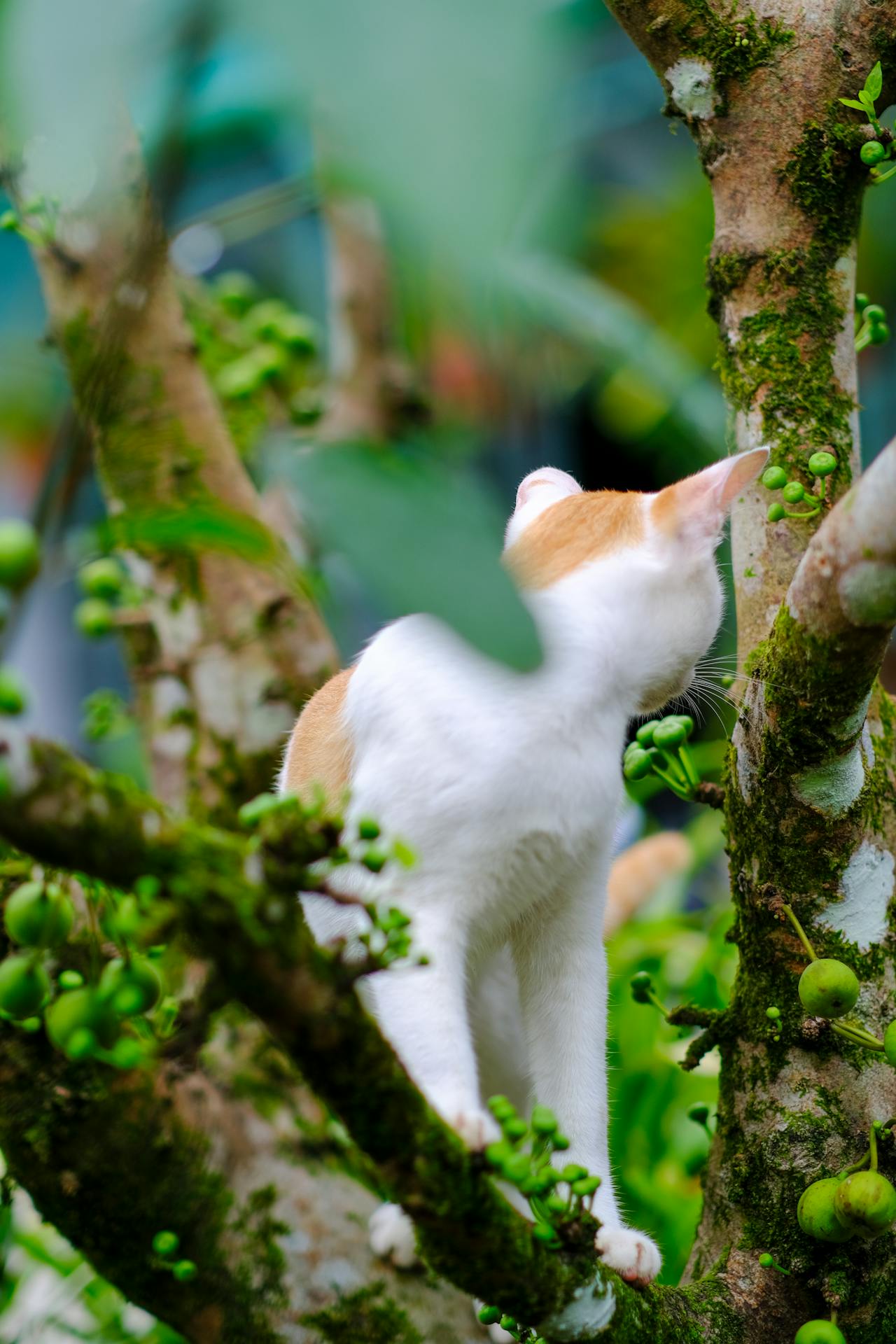 Đạo Phật đi vào cuộc đời | Chương 06