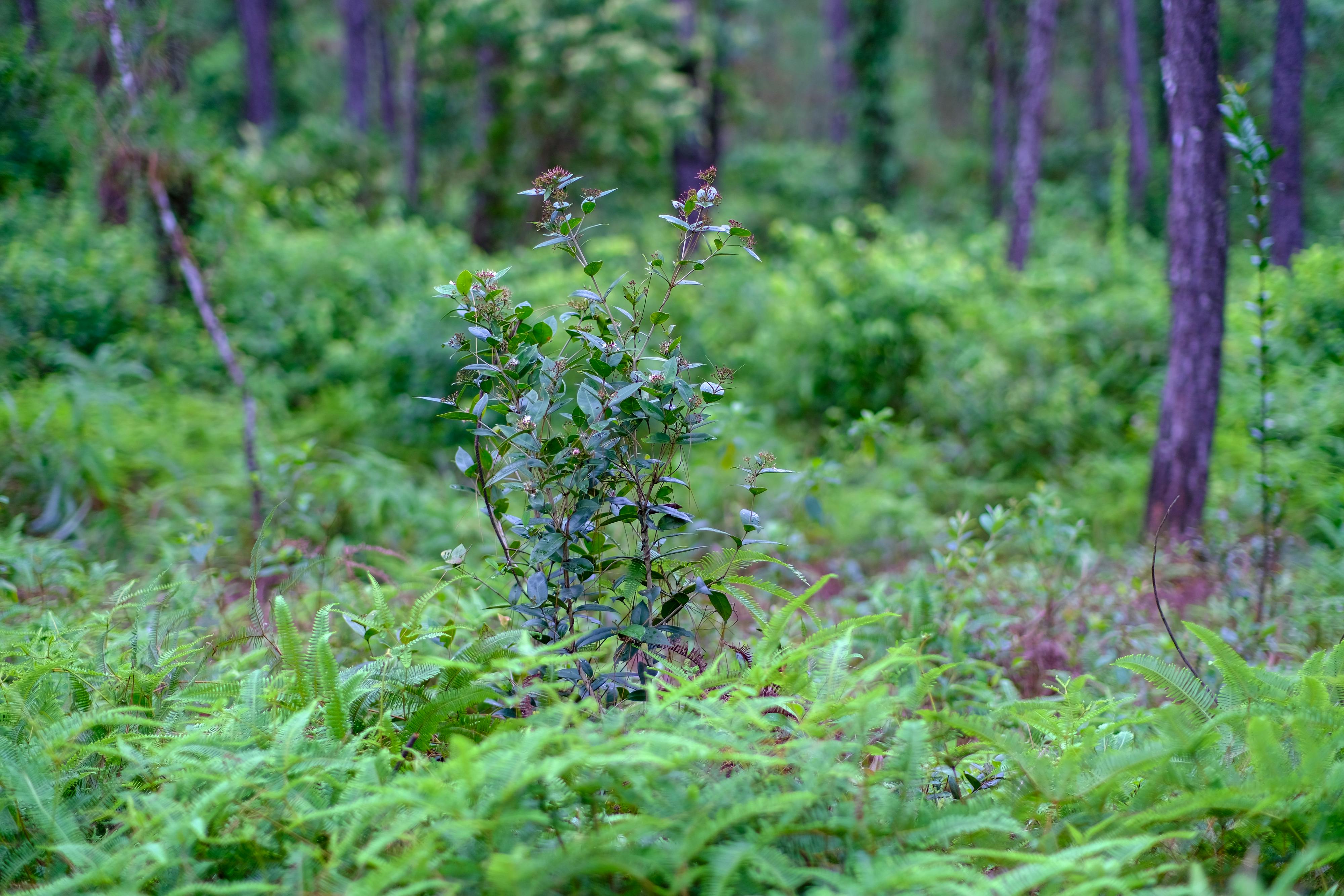 Tiếng vọng từ bức tưởng như sợi dây nối quá khứ Tiếng vọng từ bức tưởng như sợi dây nối quá khứ 459 – ton giao, lich su, nhan hoc, buc tuong, buc tuong qua khu.