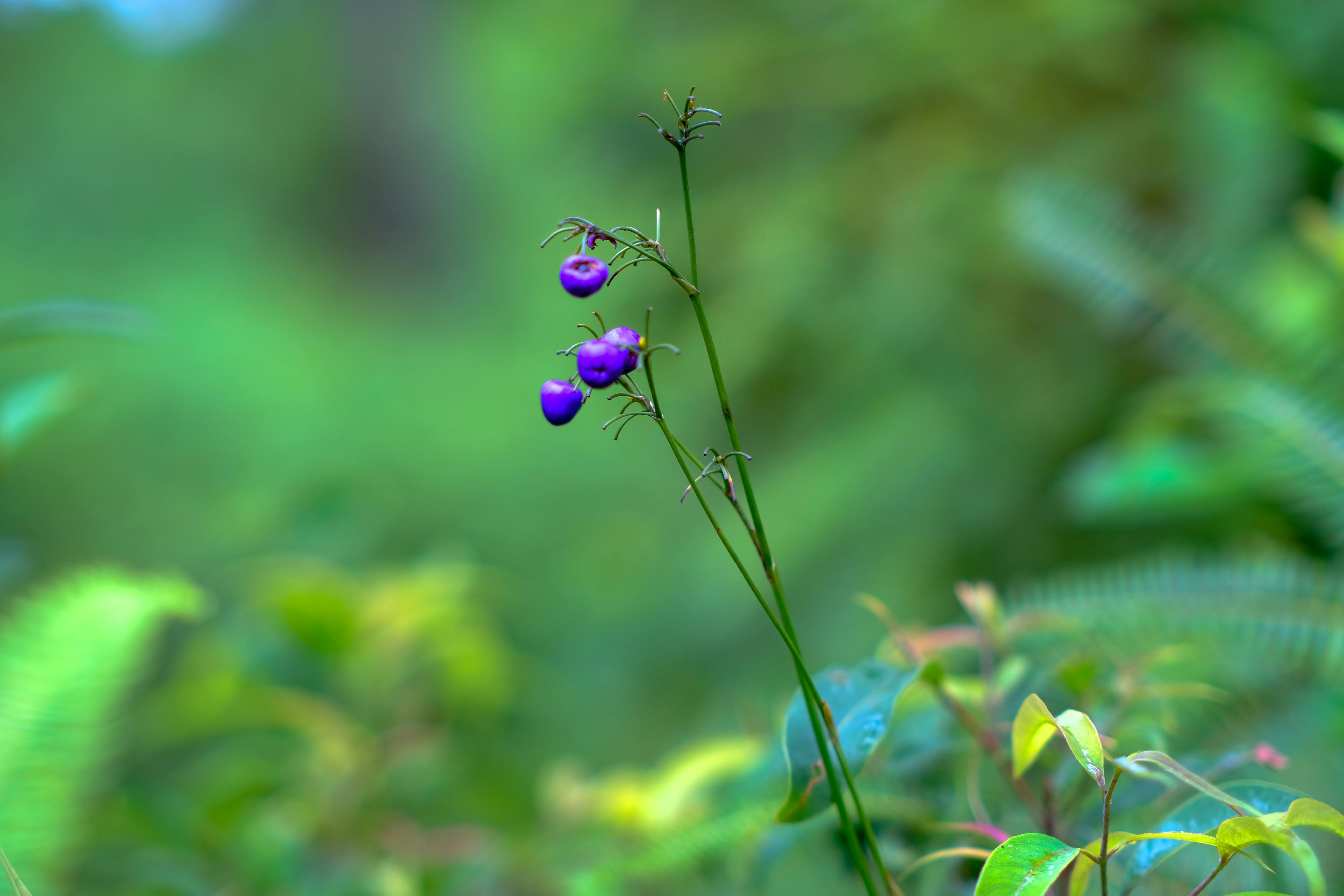 Danh sách theo thẻ van-nghi-luan-lop-6