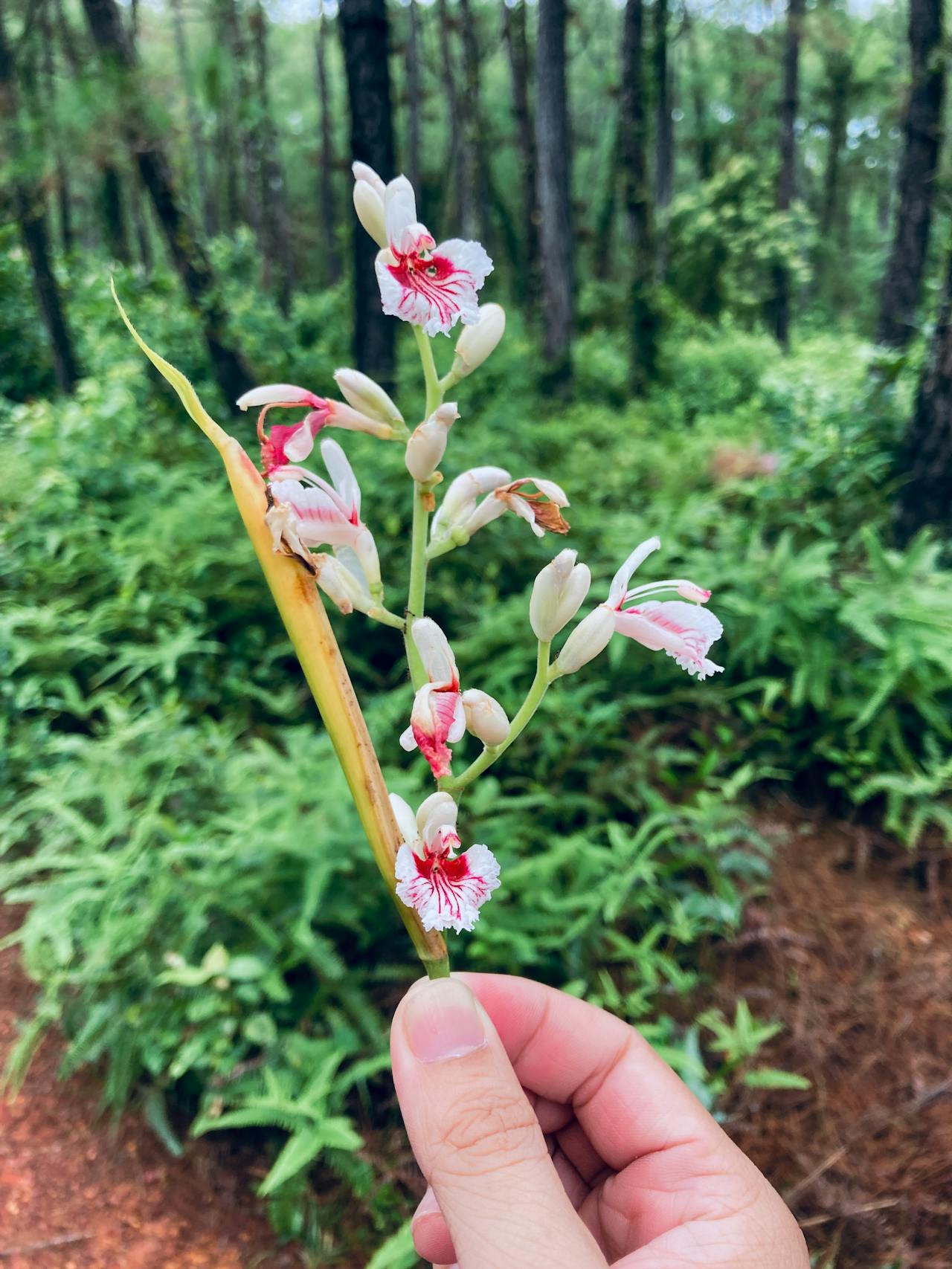 Nghịch lý triết học của một vũ trụ vô hồn