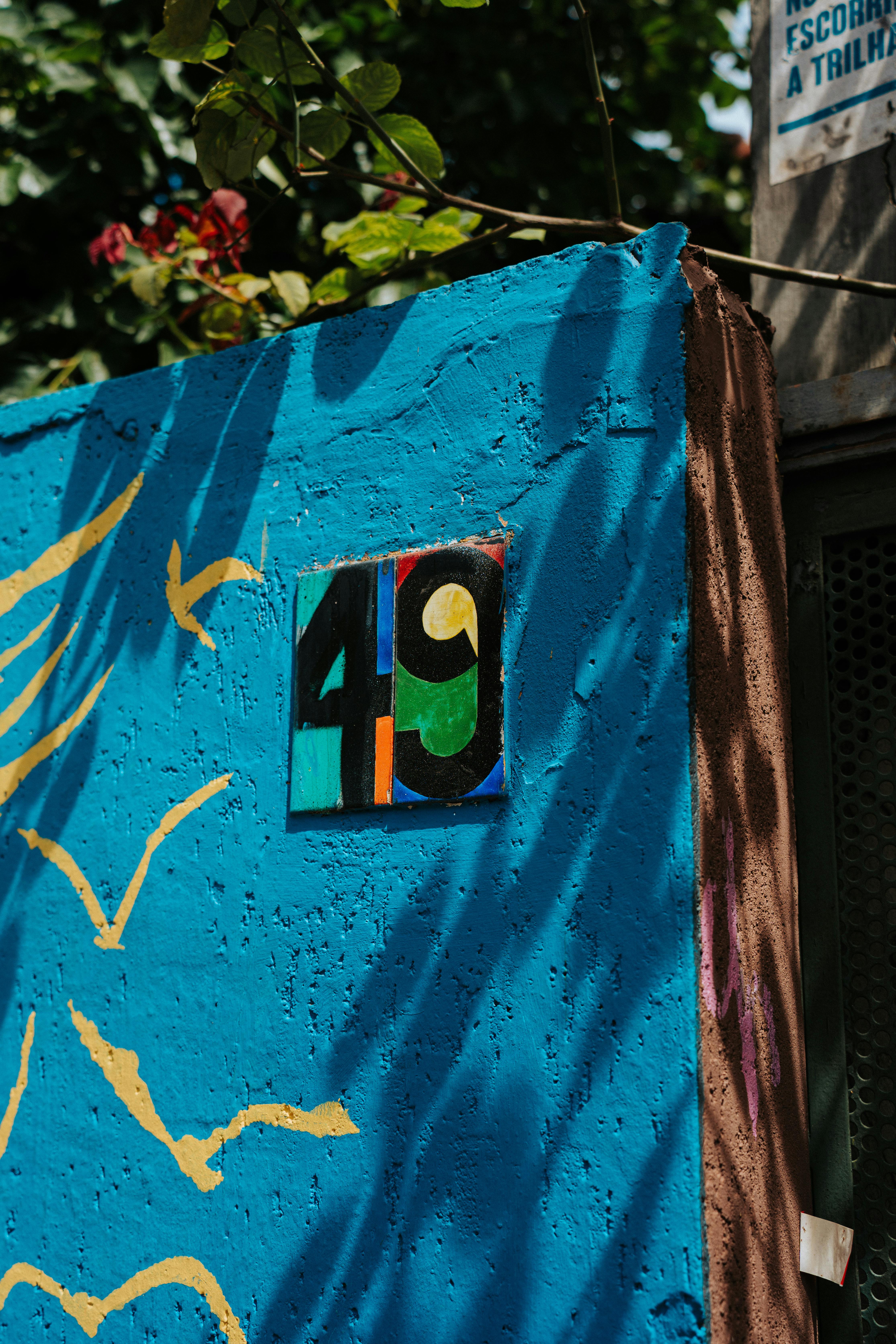 Vibrant street art on a wall in São Paulo captures artistic expression and lively colors.