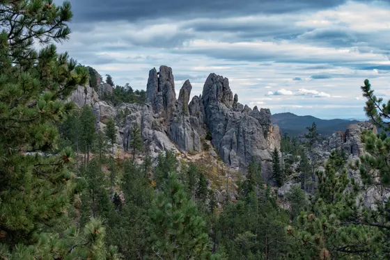 Banded red-and-white sandstone spires in the Needles District