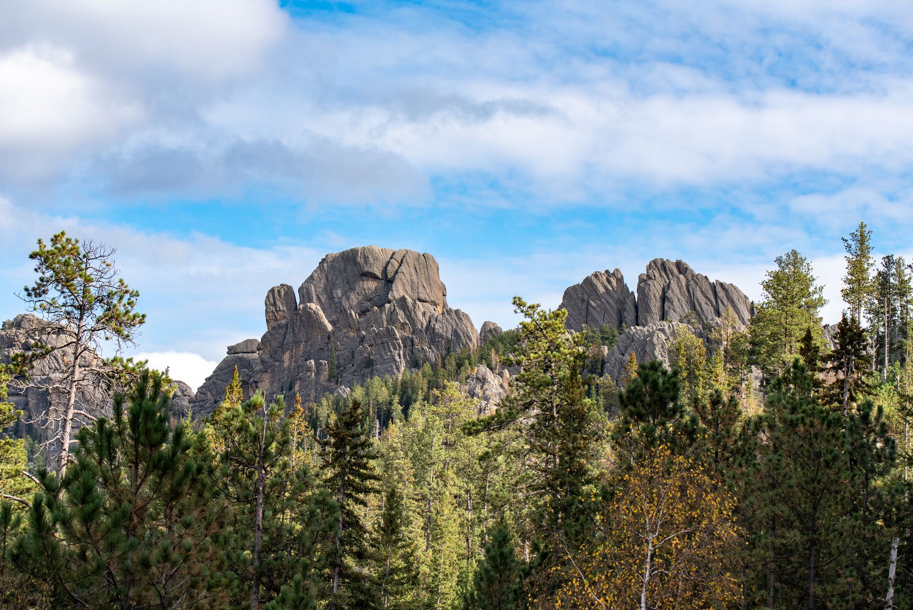 Experience the stunning rock formations and pine forests of the Black Hills in South Dakota.