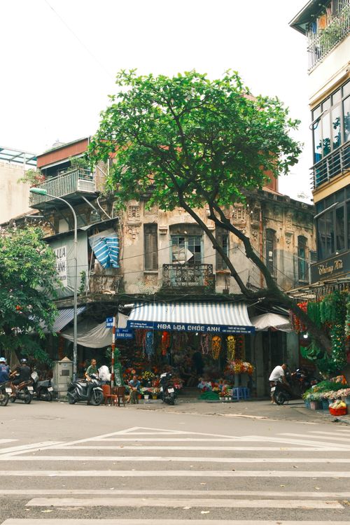 Free A vibrant street corner in Jakarta featuring a floral shop and bustling activity Stock Photo
