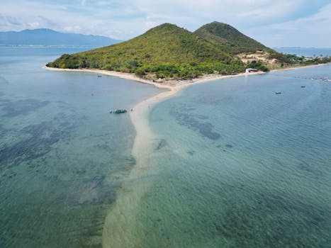 优化后的句子：默认设置