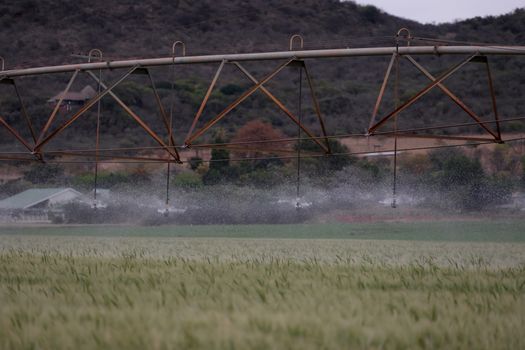 Best Rain Harvesting Techniques for Smart Water Management Systems