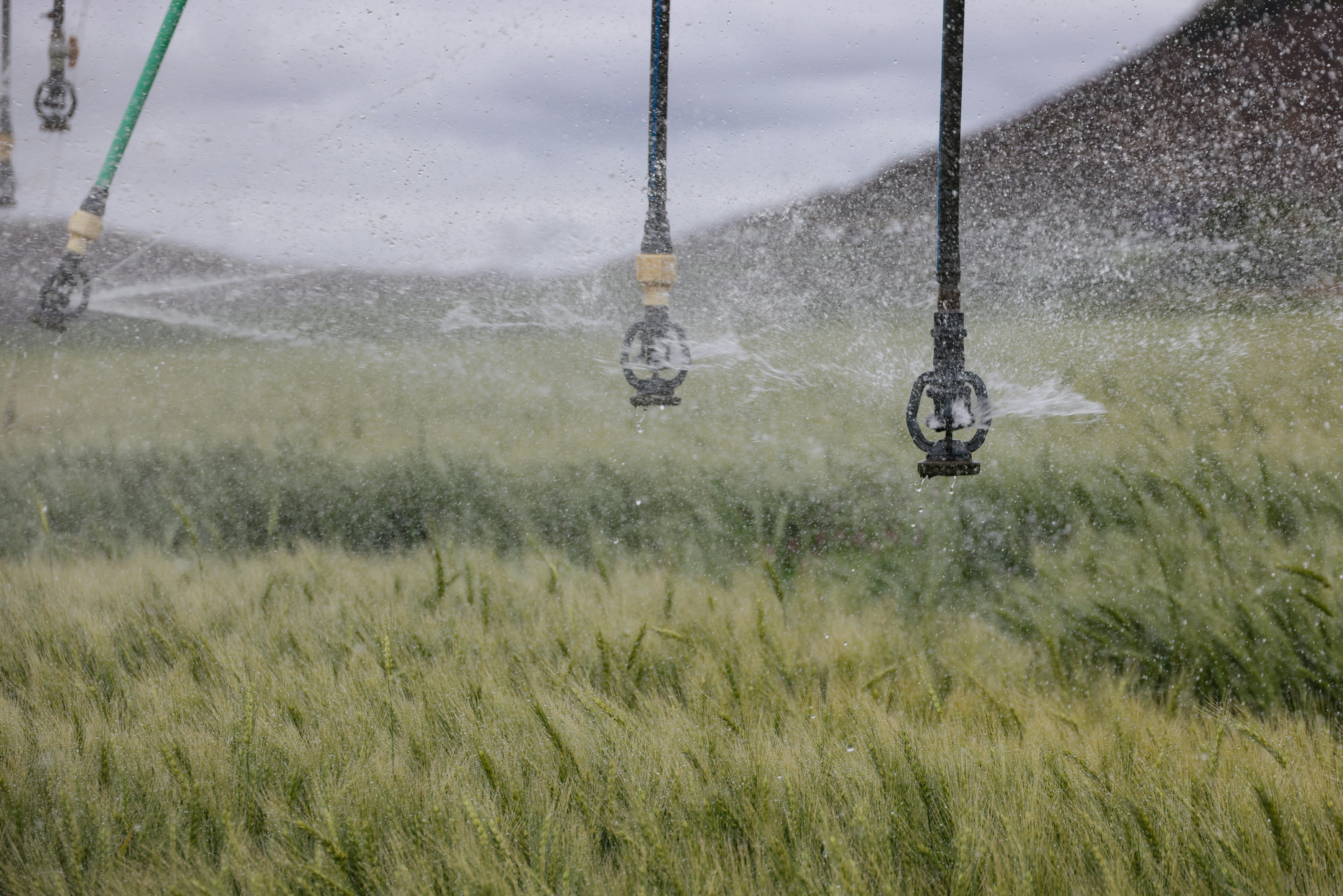 Unveiling the Secrets to Boosting Intelligence through Neuroplastic Techniques