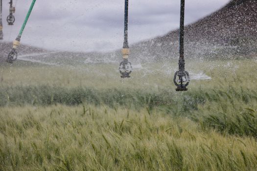Best Ways to Implement Smart Water Box in Existing Rain Harvesting Systems