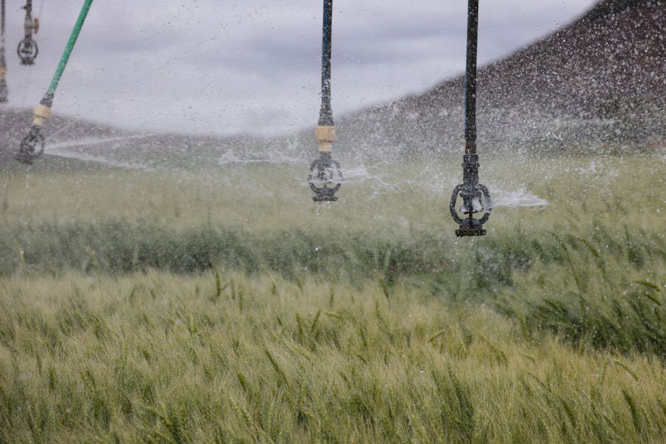 Best Ways to Implement Smart Water Box in Existing Rain Harvesting Systems