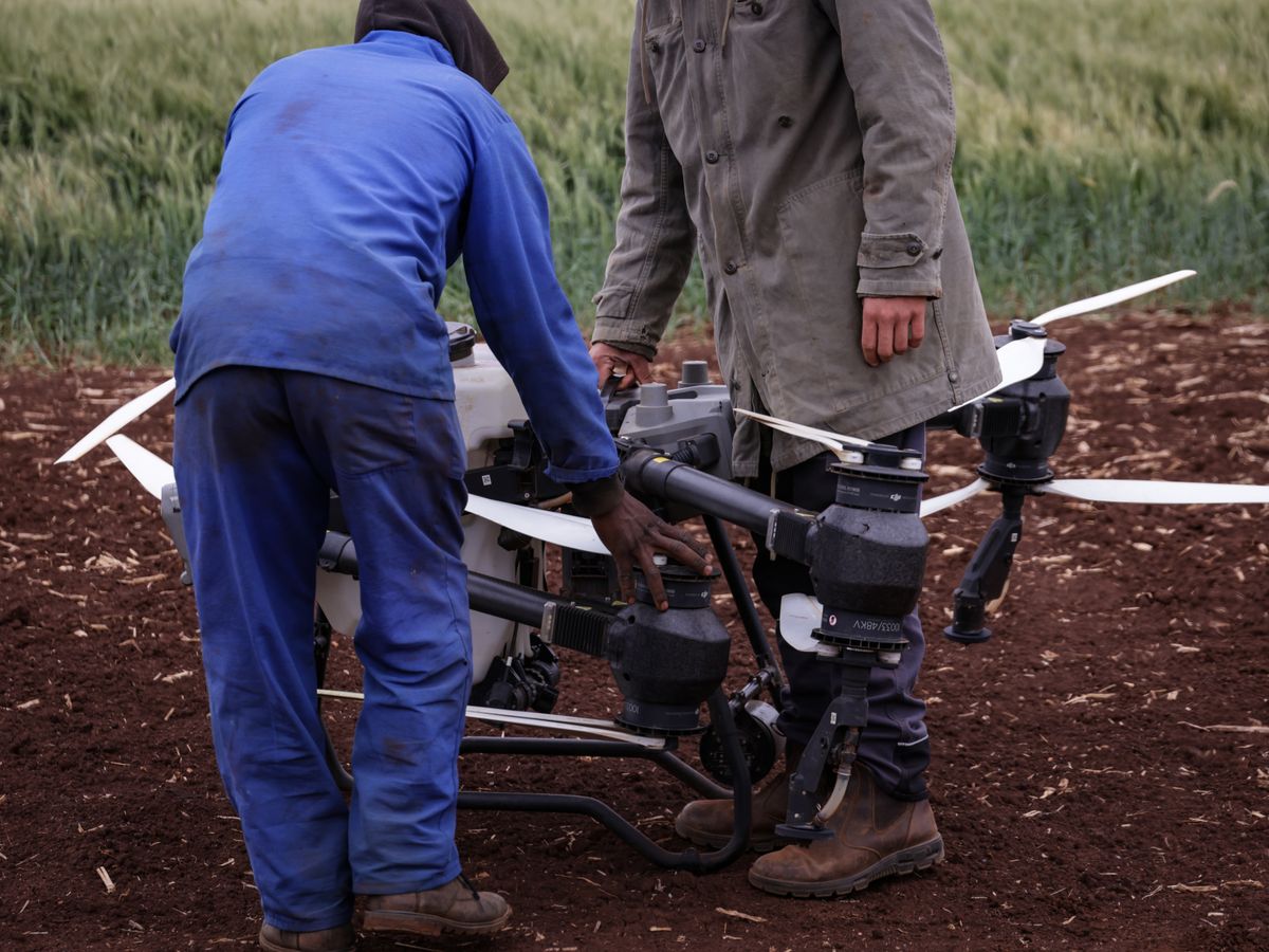 Agriculture