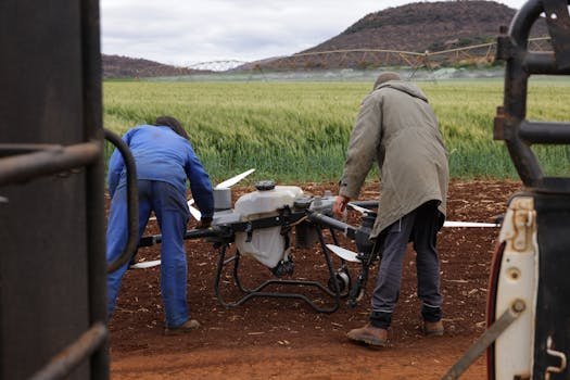 Two farmers setting up a drone for crop inspection in a rural field.