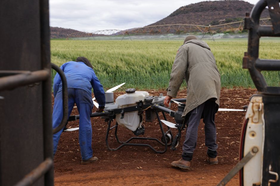 Farmers working with a drone in a field