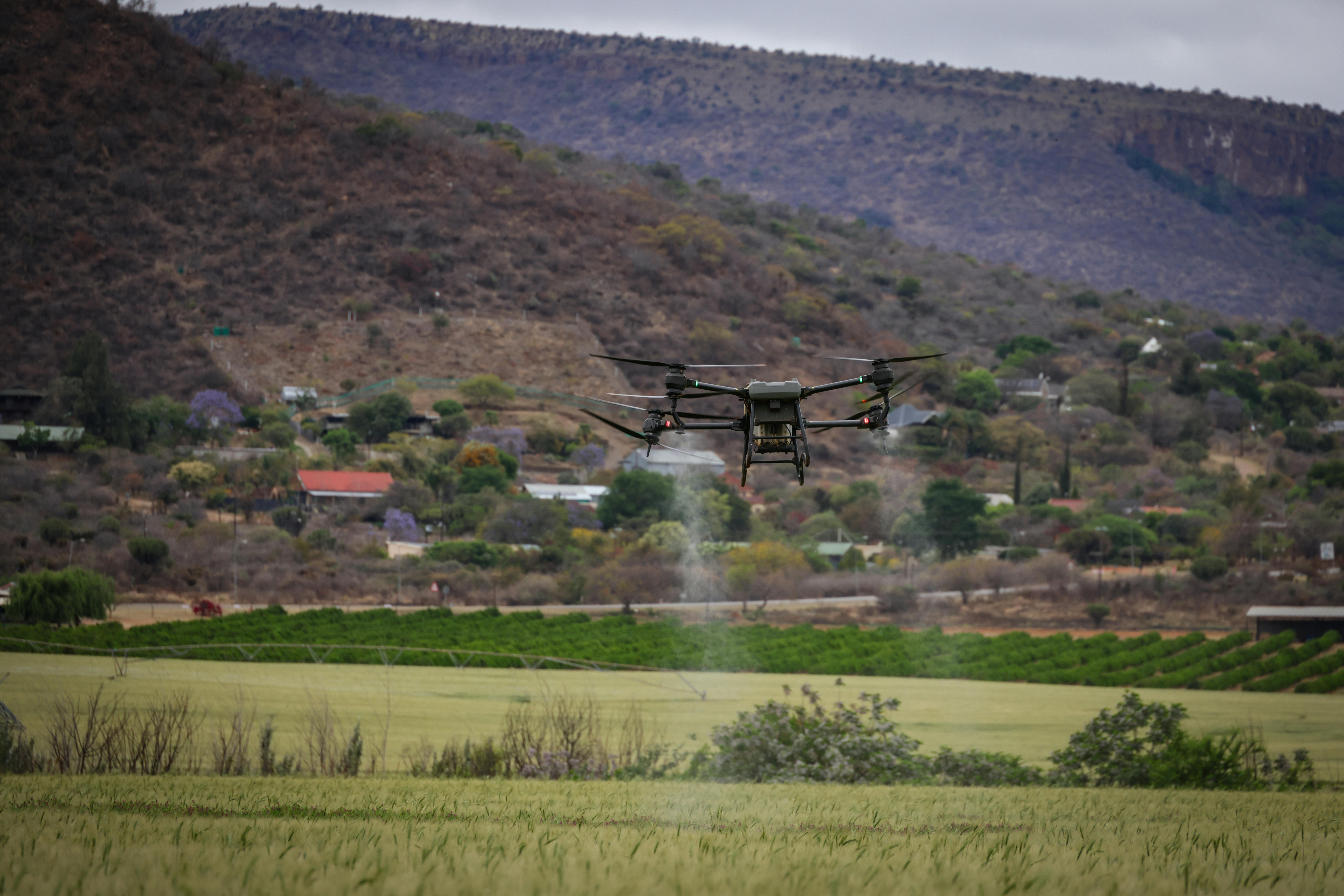 Agricultural Drone Spraying a Green Field