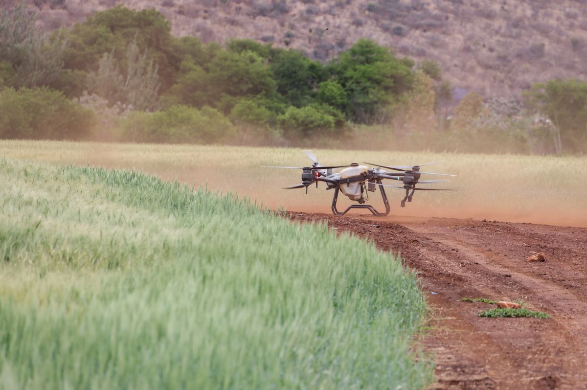 Agricultural drone over crops