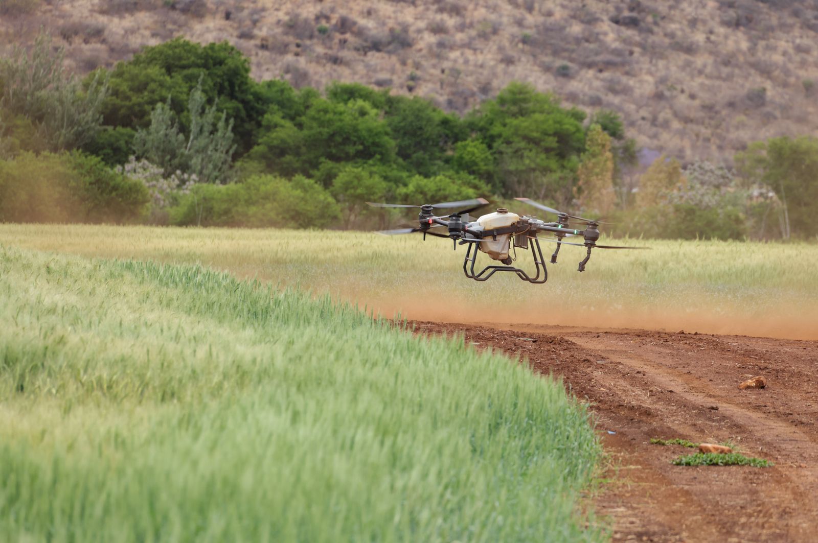 Dron agrícola operando sobre cultivos al amanecer