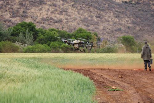 Free Drone operation by a farmer in a green agricultural field with mountainous backdrop. Stock Photo