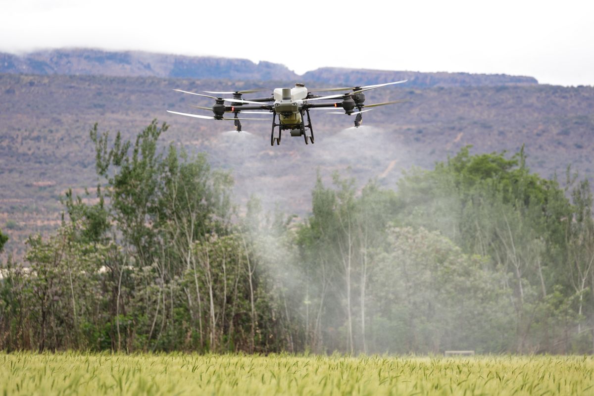 Dron agrícola aplicando un tratamiento fitosanitario sobre un cultivo