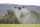 drone agriculture
