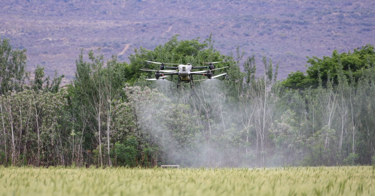 FARM AI Act 法案:美國農業AI革命正式啟動,未來產業鏈將如何裂變? FARM AI Act 法案:美國農業AI革命正式啟動,未來產業鏈將如何裂變?