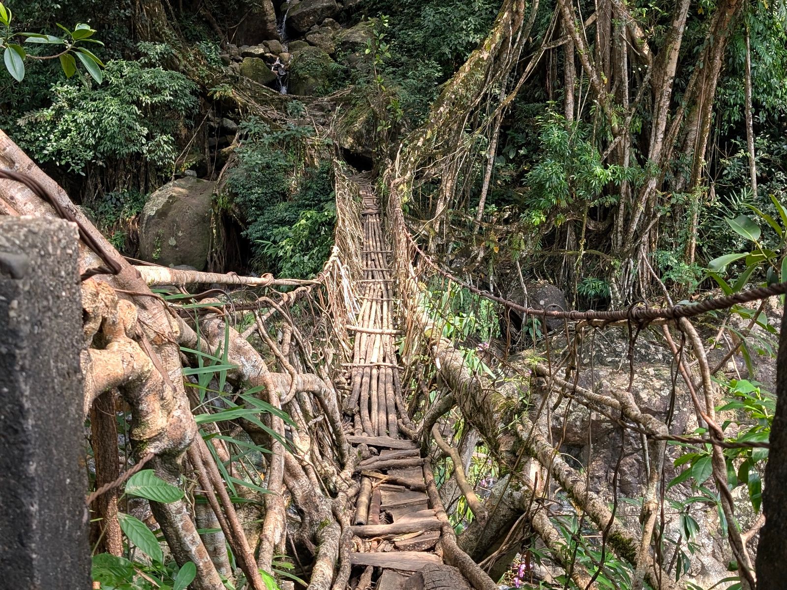Assam Meghalaya 6 Nights 7 Days Tour