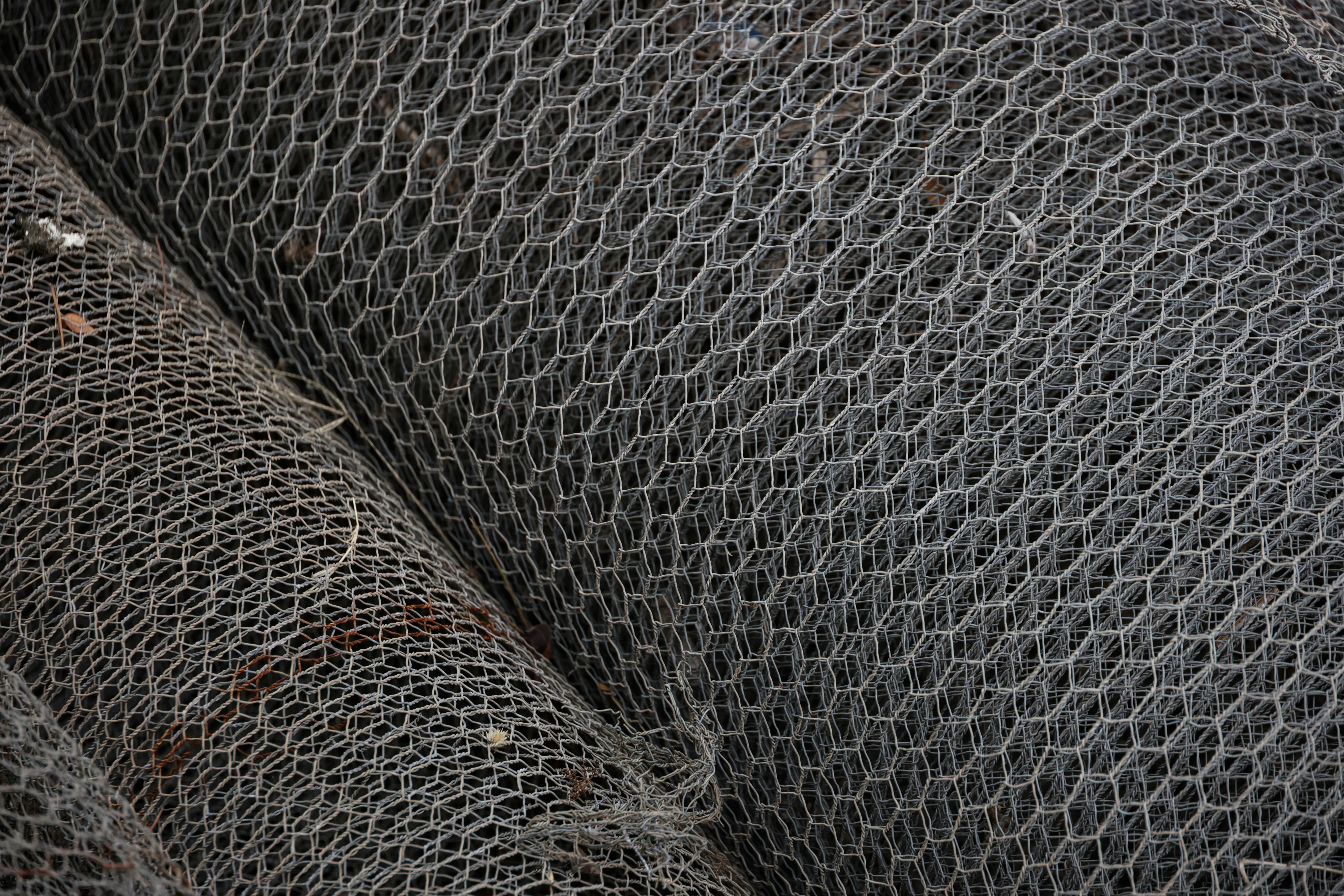 Understanding Emerging Regulatory Frameworks