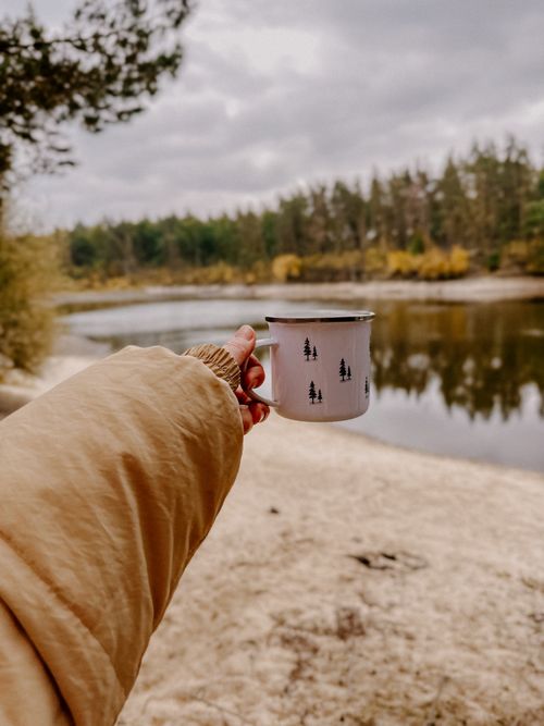 Free A hand holding a warm mug near a peaceful lake in an autumn forest. Stock Photo