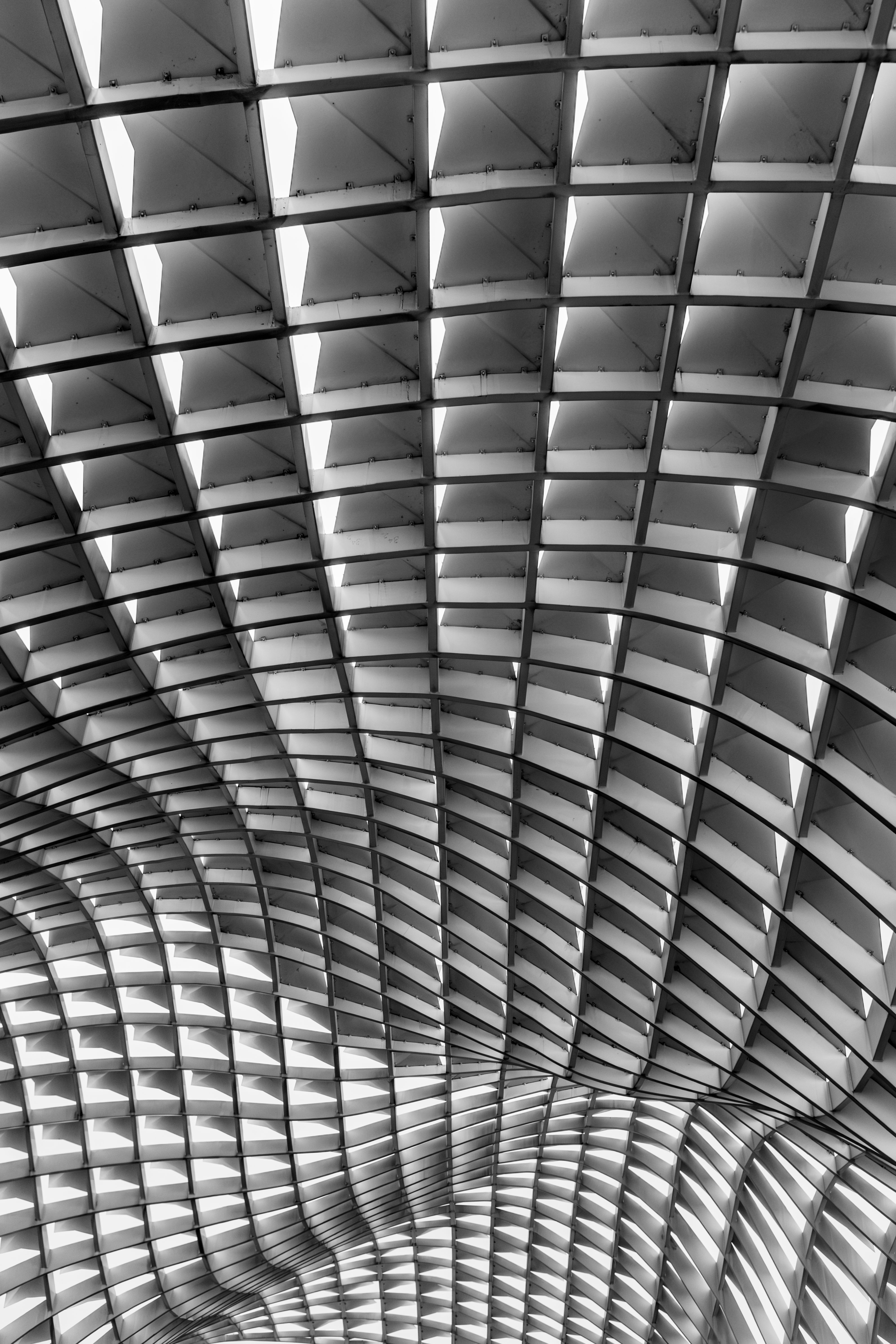 Abstract Architectural Ceiling with Dynamic Patterns · Free Stock Photo