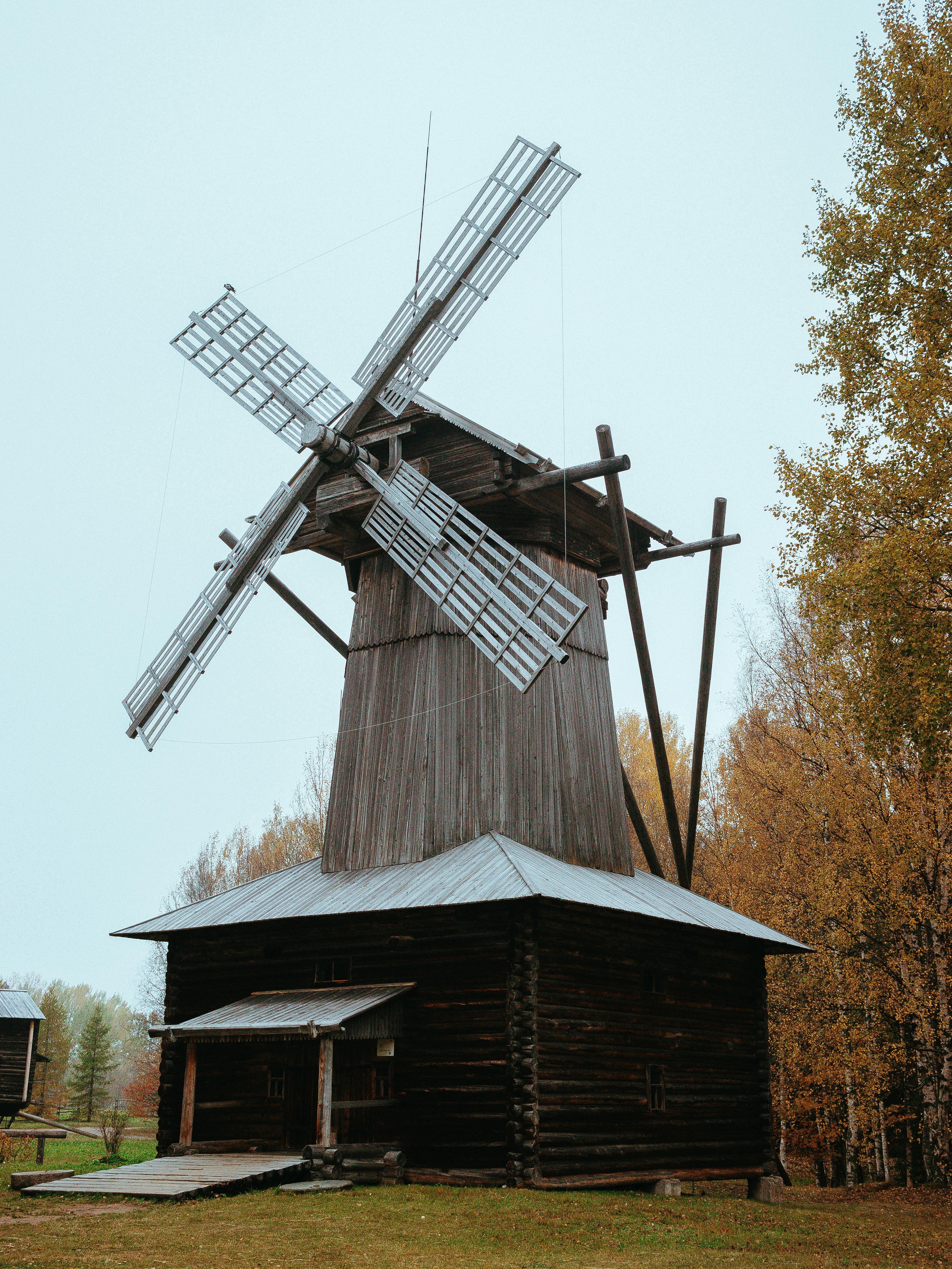 迷人的乡村木制风车被秋叶包围，展现了建筑遗产