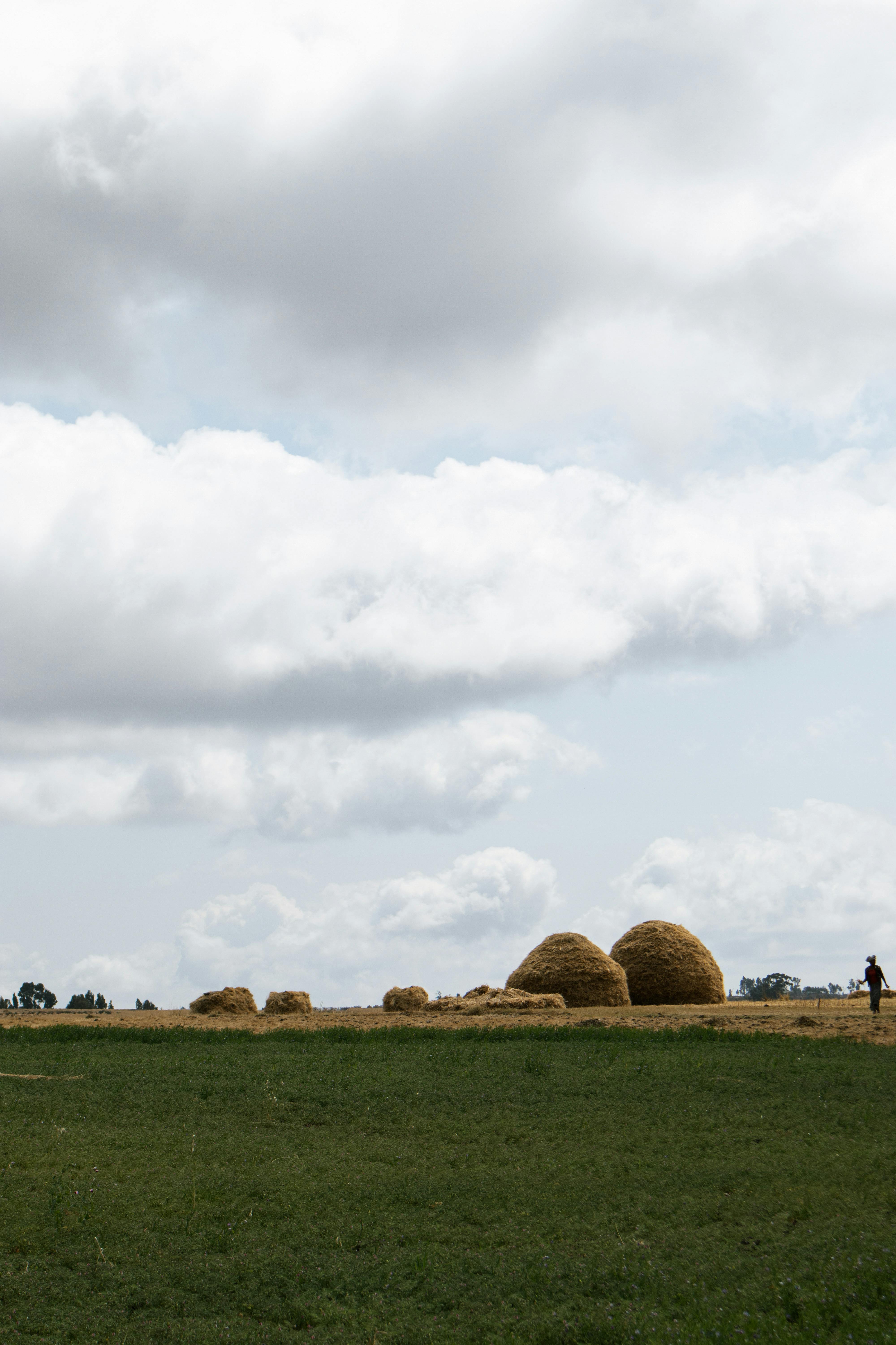 好的，请提供需要优化的句子